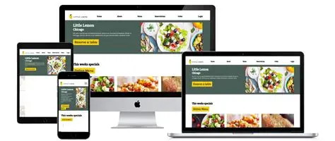 Lemon Project